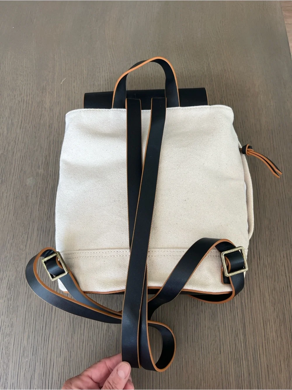 Treasure & Bond Canvas Backpack with Black Leather Flap and Tan Trim